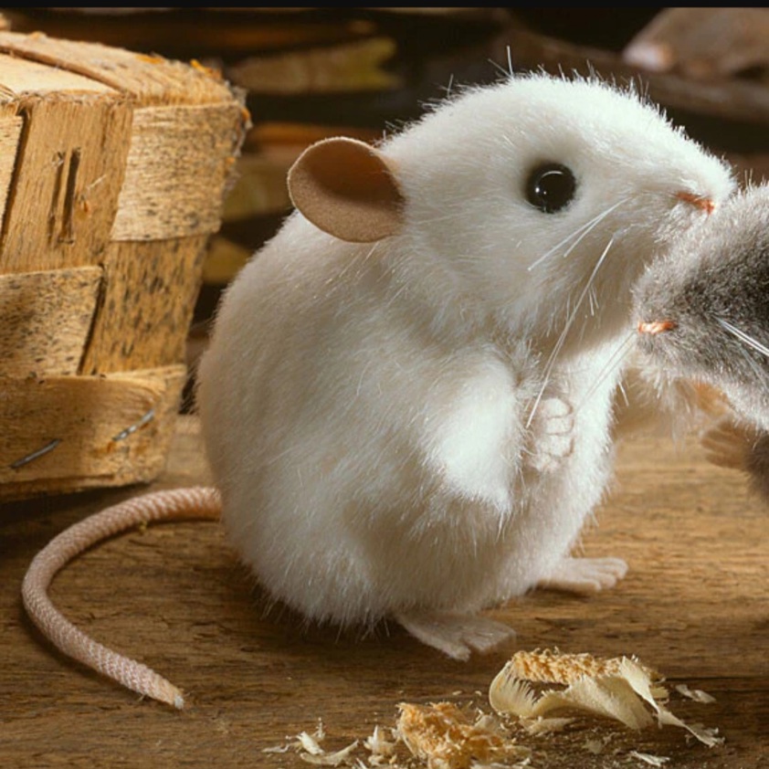 White Mouse 10cm