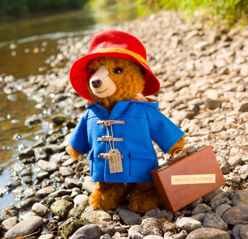 Paddington - Movie Edition