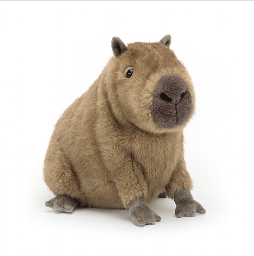 I am Clyde Capybara