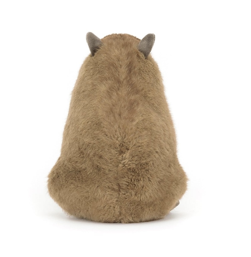 I am Clyde Capybara