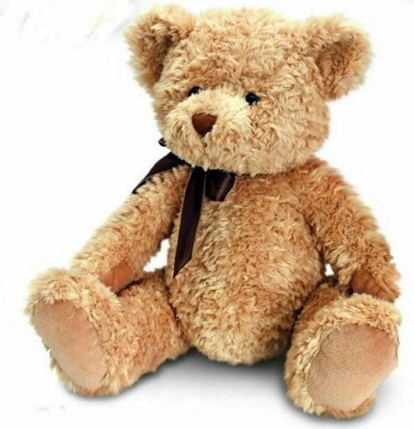 Sherwood Bear 28cm