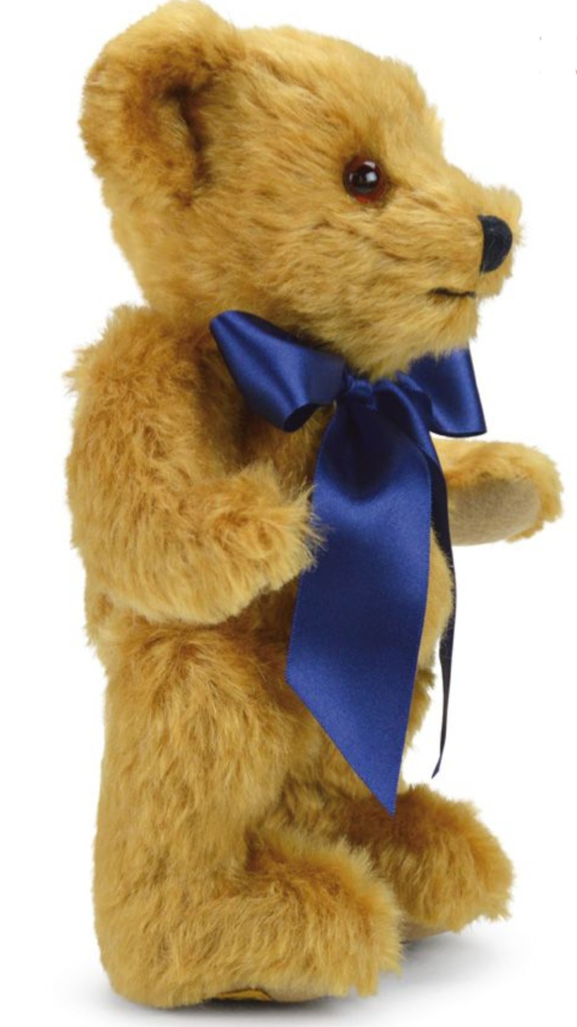 Oxford Teddy (10in)