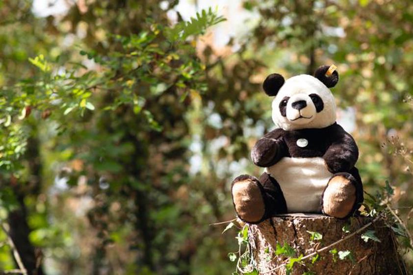 Benji Big Panda 40cm