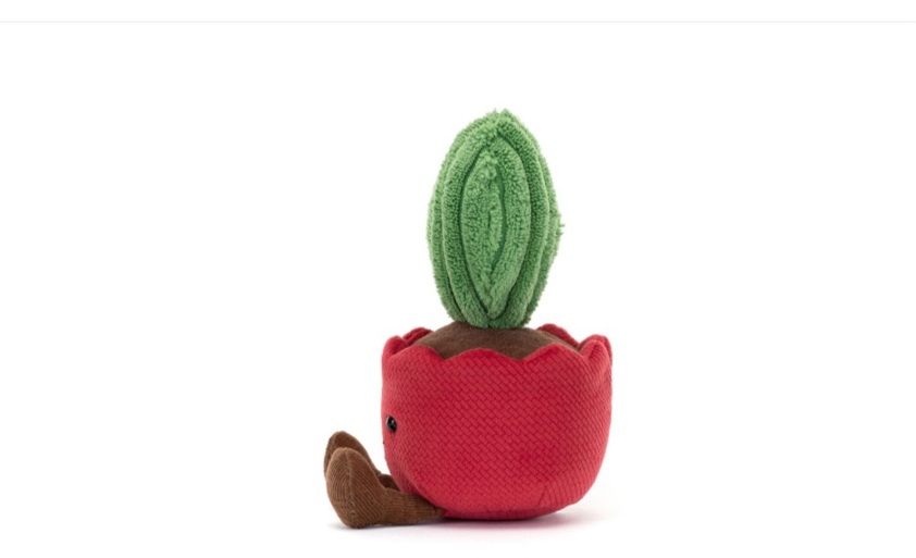 Amuseables Kerrii Cactus