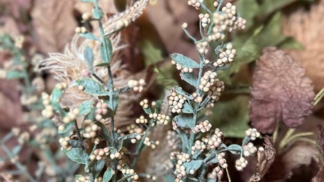 Artificial plants and flowers