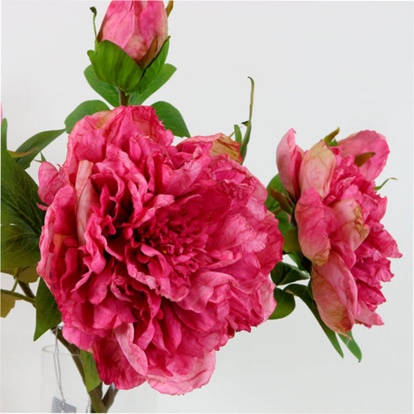 Dried Touch Open Peony Hot Pink