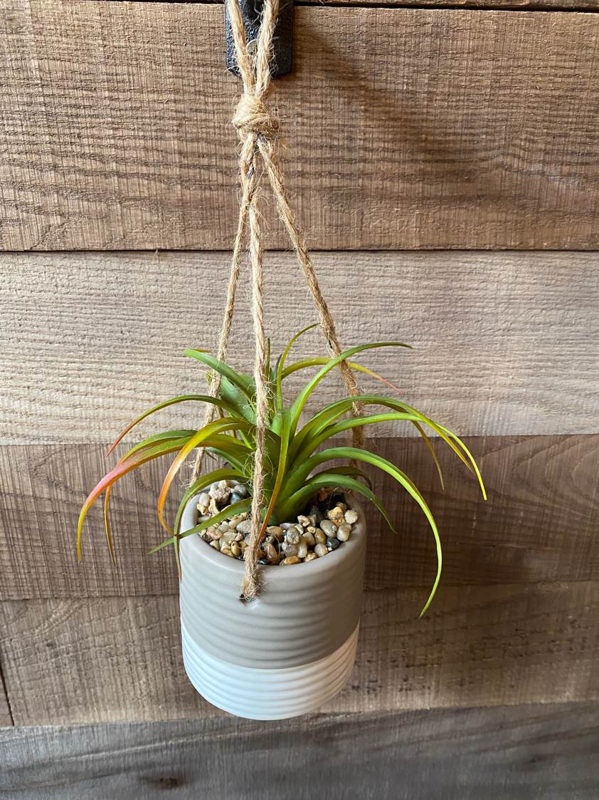 Style 2 Hanging Plants in Pots