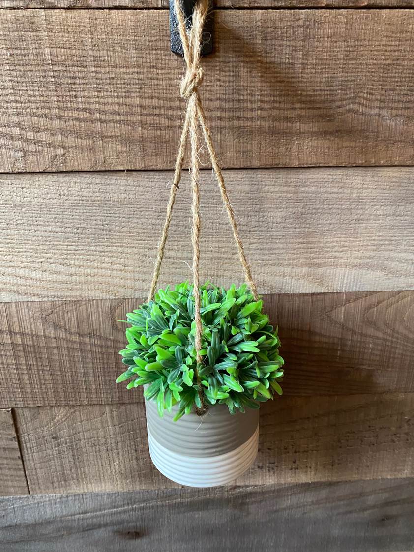Style 3 Hanging Plants in Pots