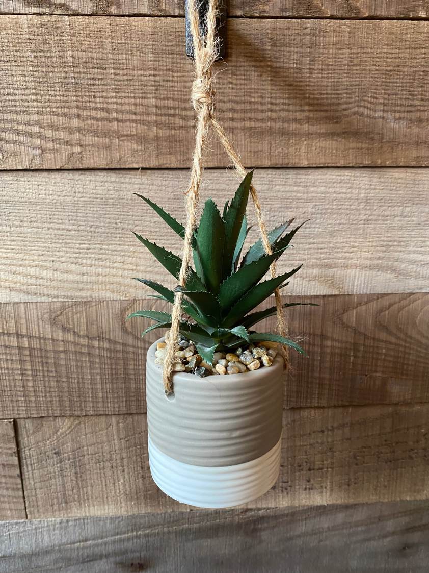 Style 1 Hanging Plants in Pots