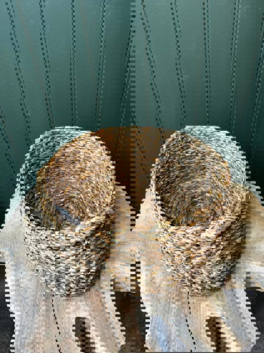 Round Natural Shallow Basket