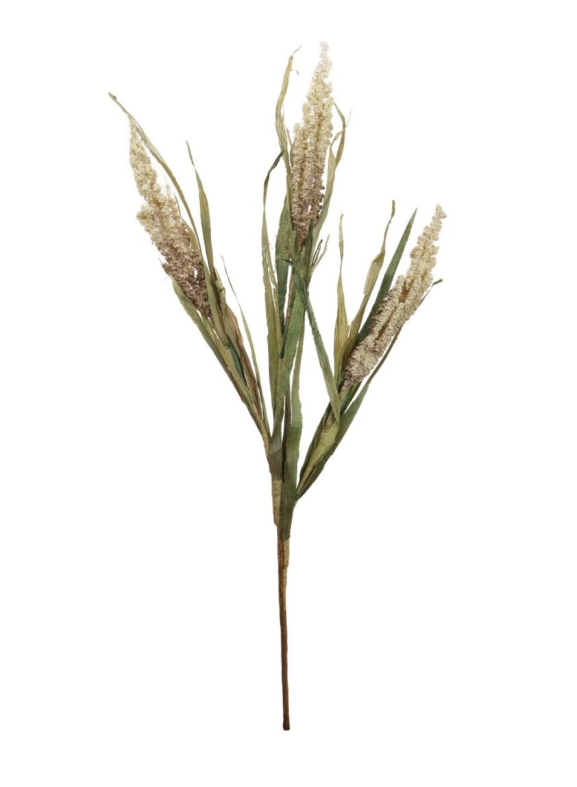 Dried Reed Wheat Spray Oyster Mix 160900