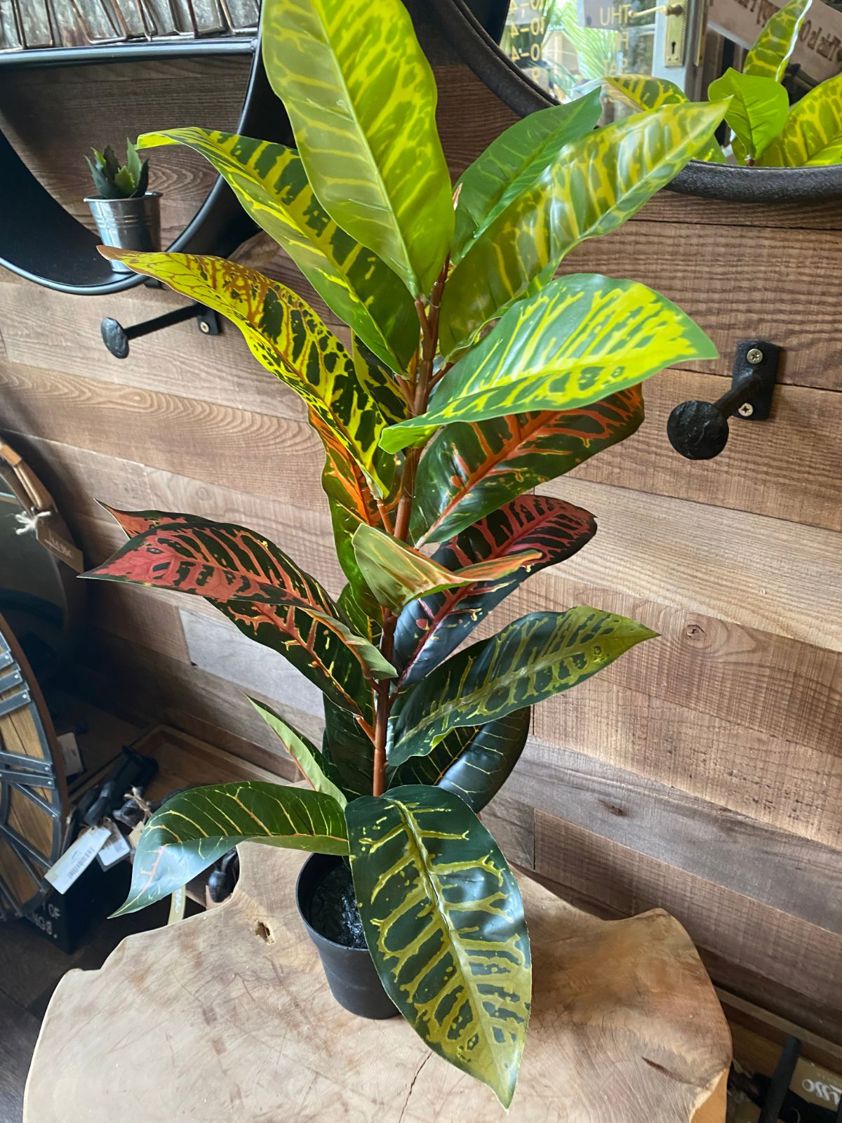 Artificial Red and Green Calathea Plant