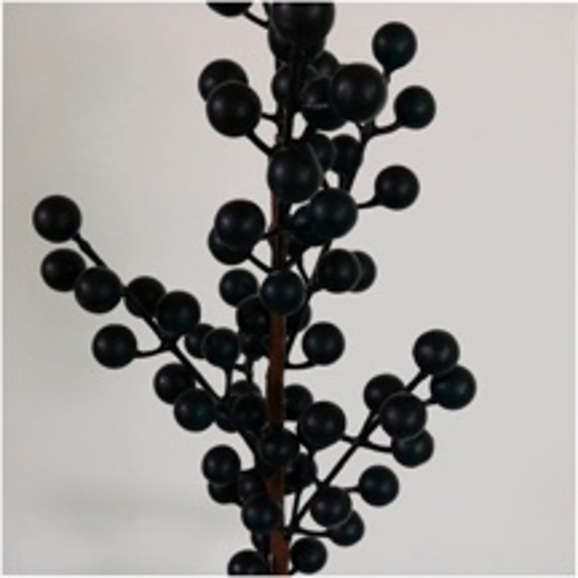 Grape Berry Pic