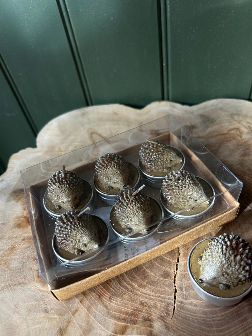 Set Of Six Hedgehog T-Lights