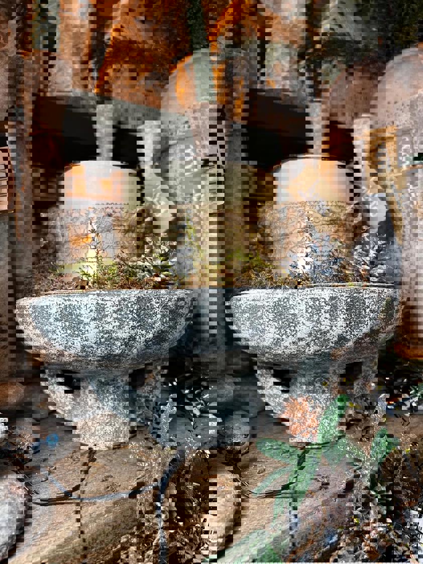 Distressed Footed Bowl