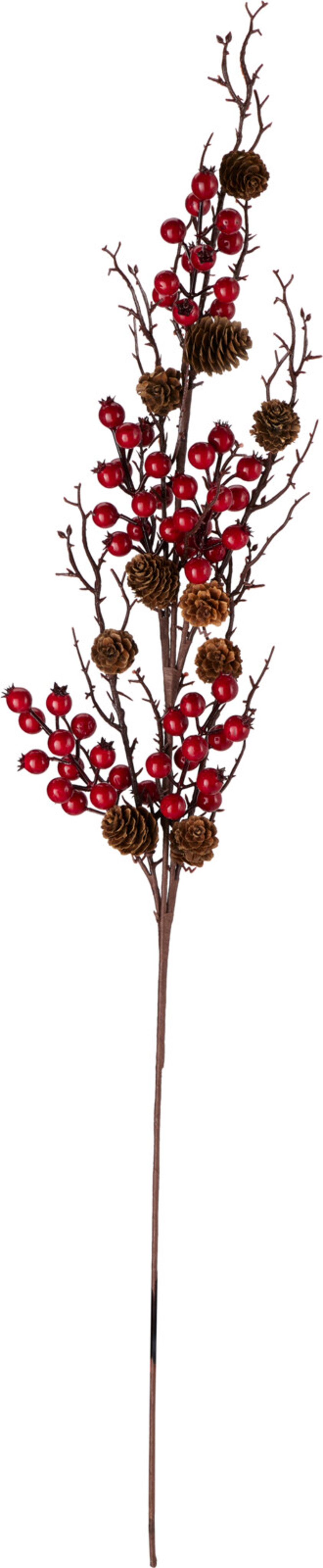 Berry Pinecone Branch