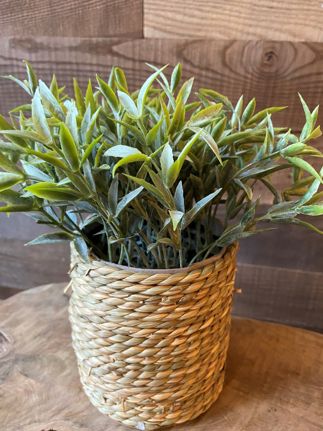  Plant in Seagrass Pot (4 Designs)