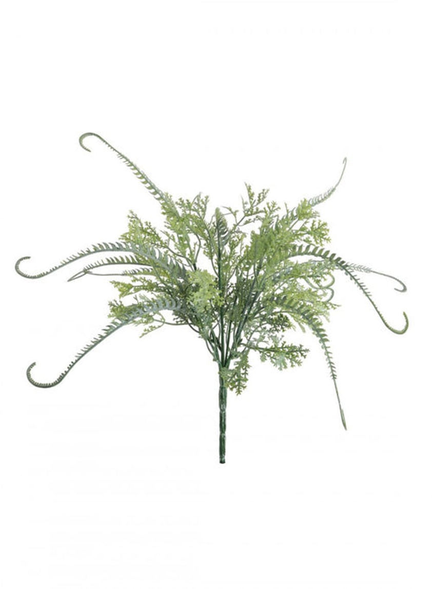 Dusted Twined Fern Bunch