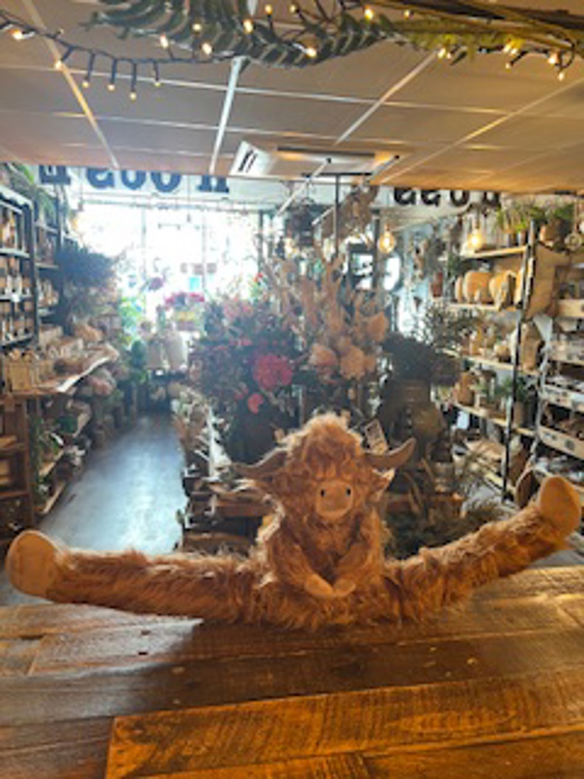 Highland Cow Draft Excluder