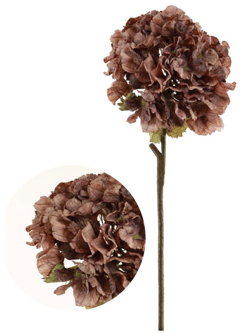 Dried Touch Ruffled Mocha Hydrangea