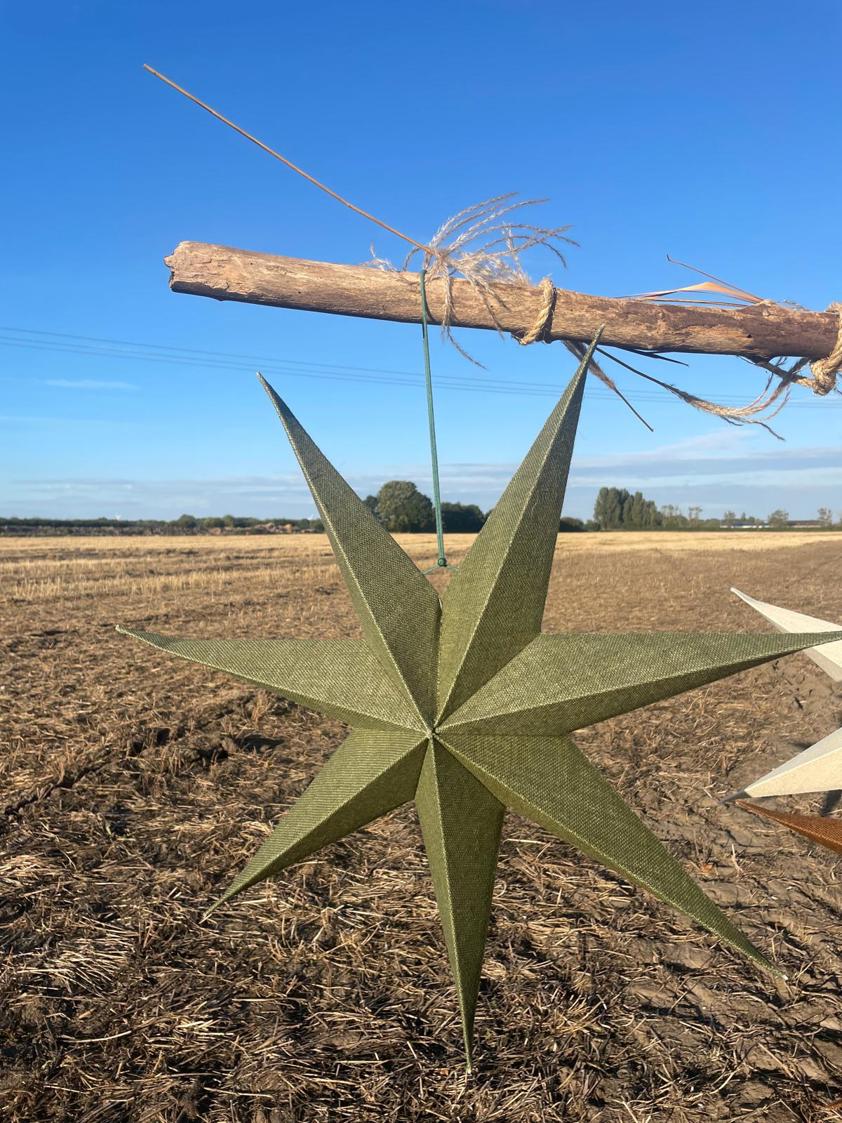 Large Jute Star