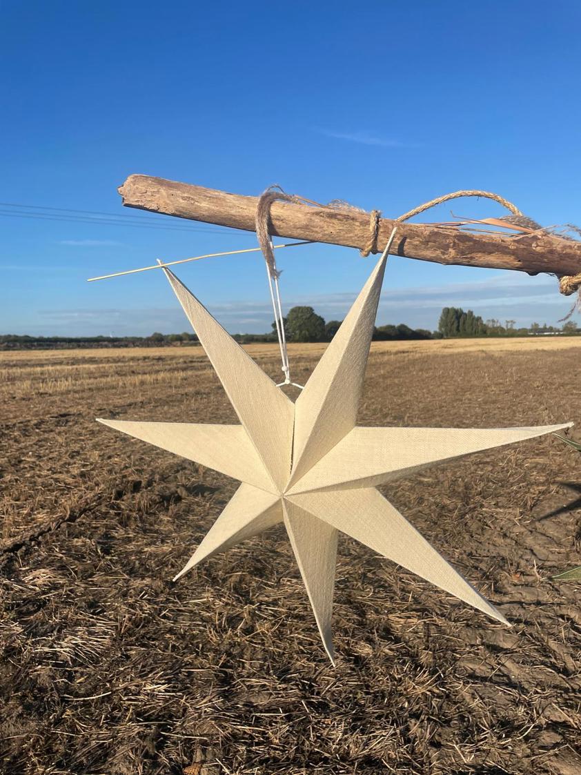 Large Jute Star