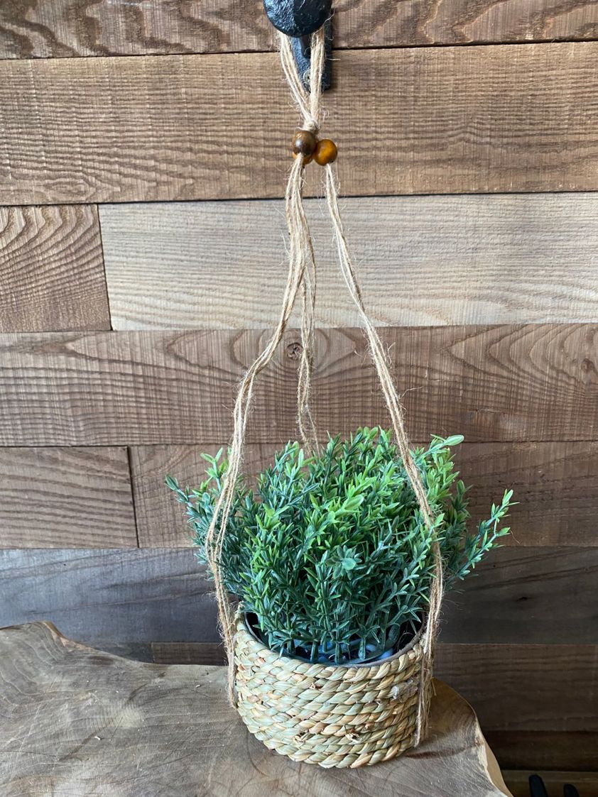 Spikey Bush Artificial Plant in Hanging Seagrass Pot