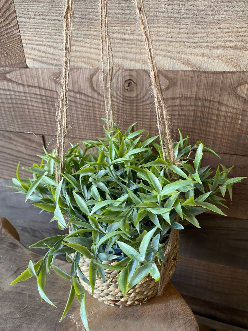 Light Green Artificial Plant in Hanging Seagrass Pot