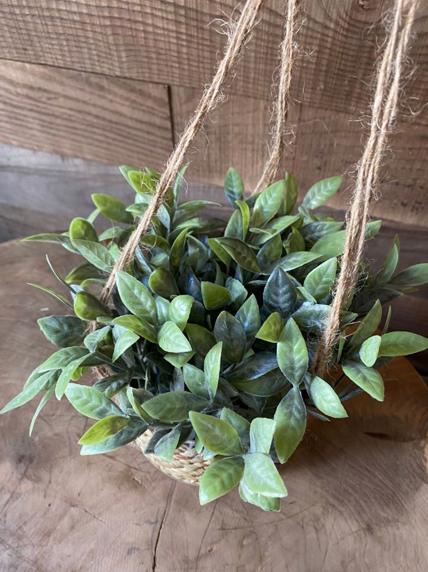 Ombre Leaf Artificial Plant in Hanging Seagrass Pot