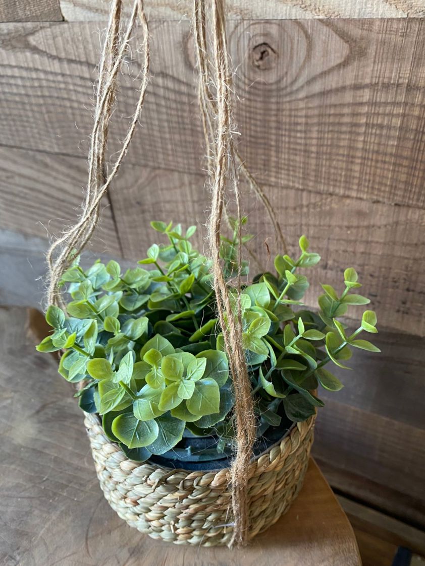 Eucalyptus Artificial Plant in Hanging Seagrass Pot