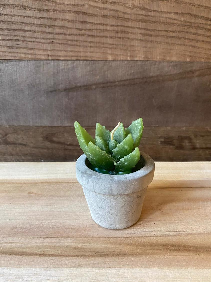 Style 2 Succulent Candles