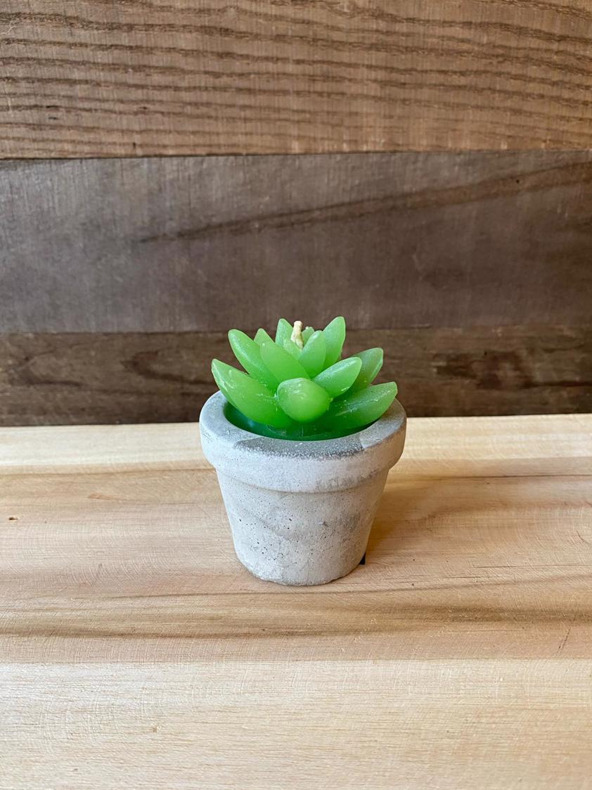 Style 4 Succulent Candles