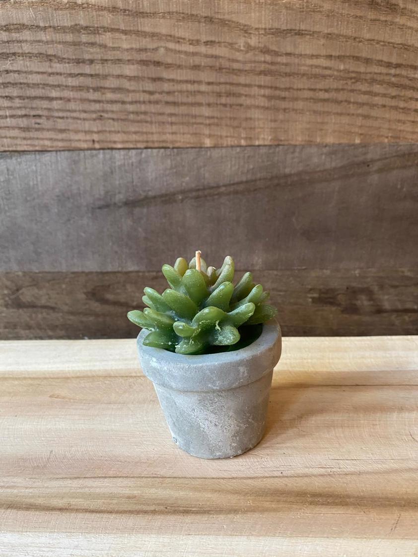 Style 1 Succulent Candles