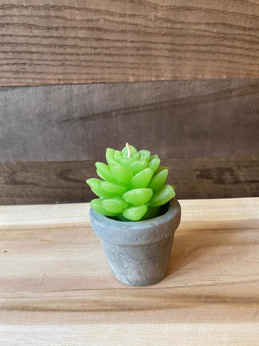 Style 3 Succulent Candles
