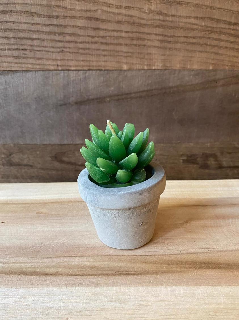 Style 5 Succulent Candles
