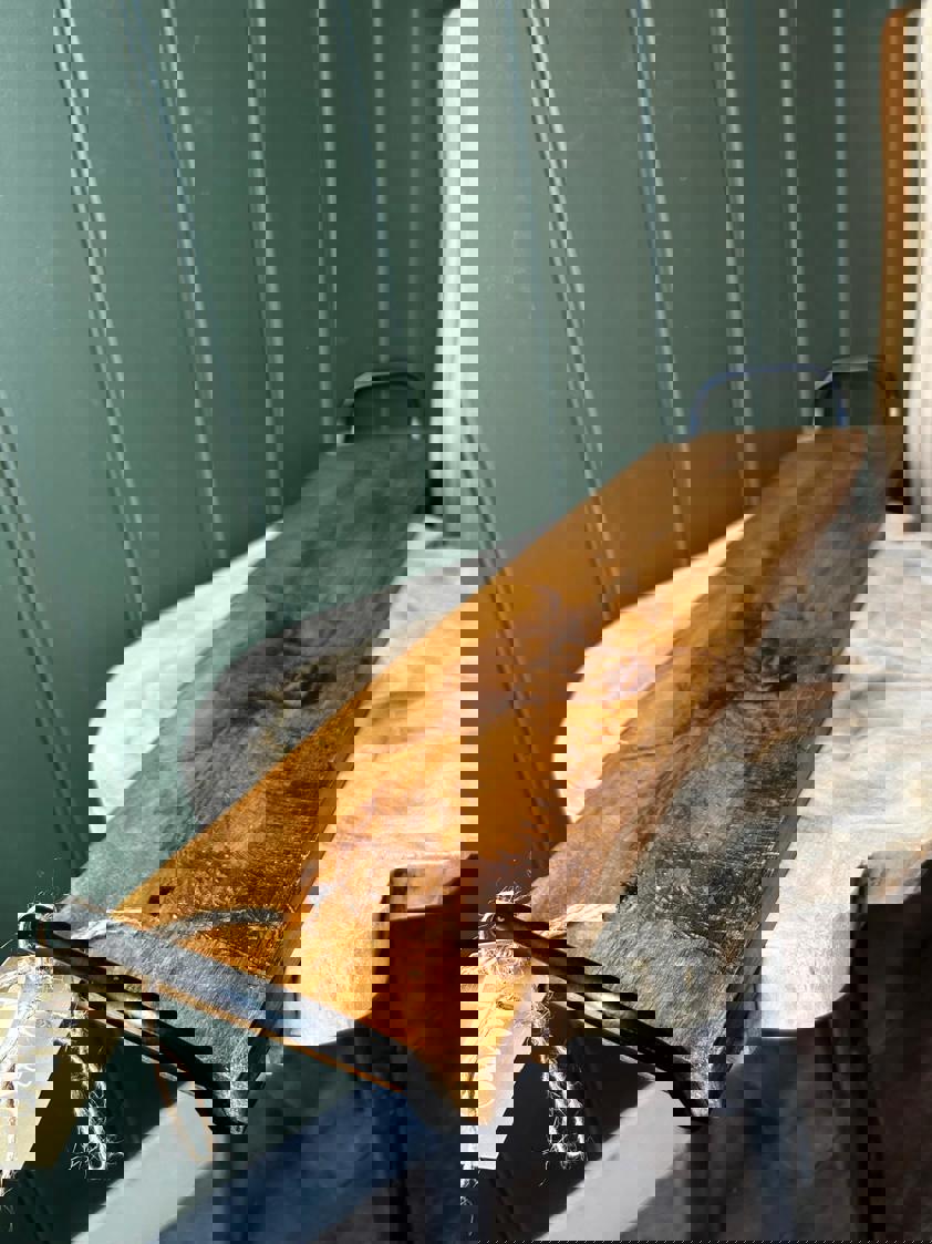 Highland Cow Mango Wood Serving Platter