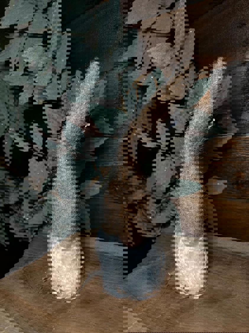 Hanging Gnome Decor Hanging Gnome Decor