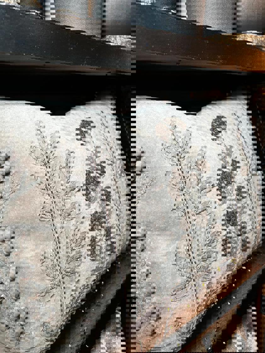 Kew Taupe Embroidered Cushion