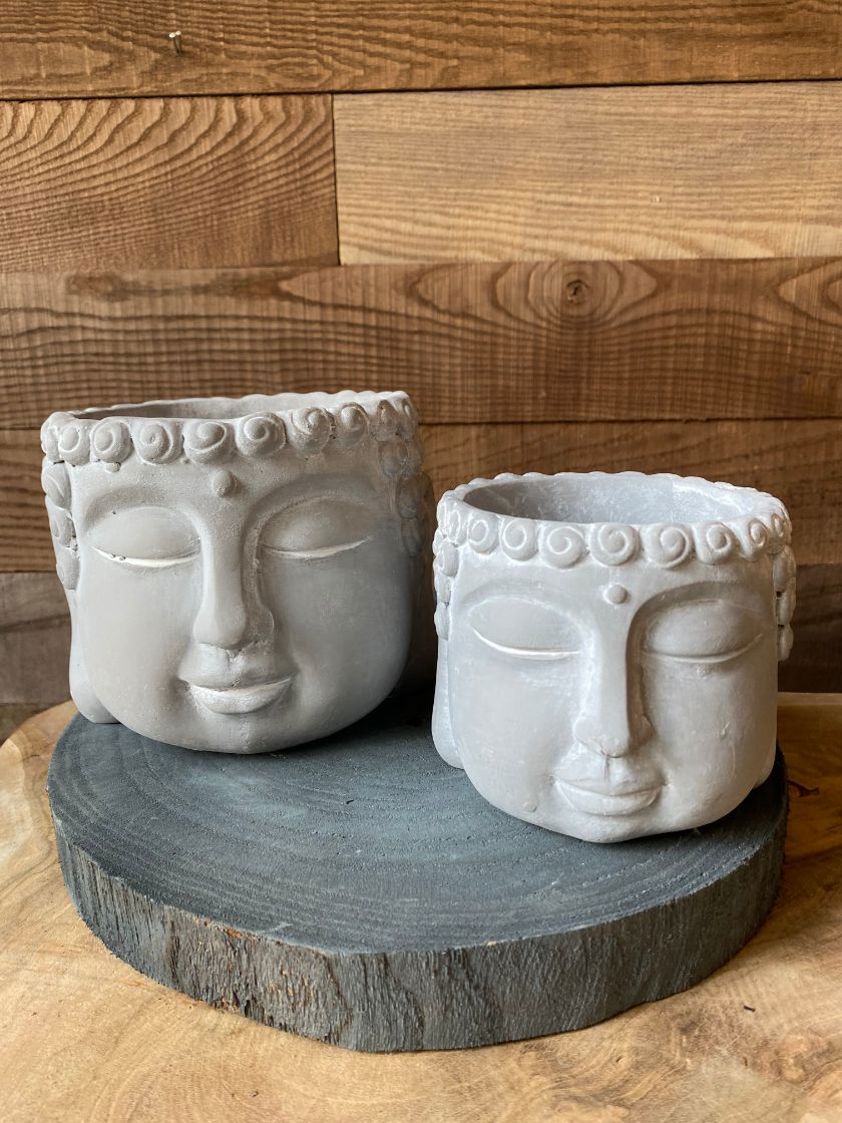 Light Grey Buddha Plant Pots