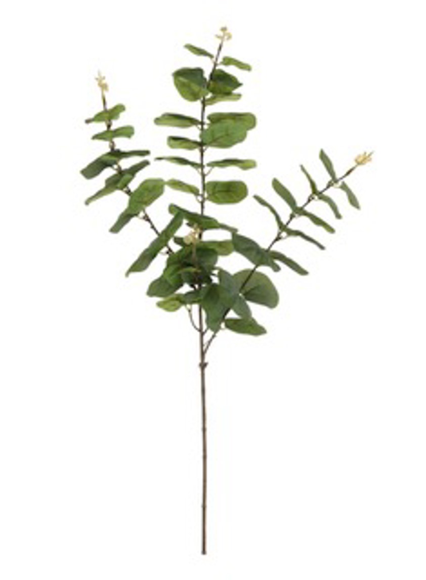 Rounded Eucalyptus Spray Green