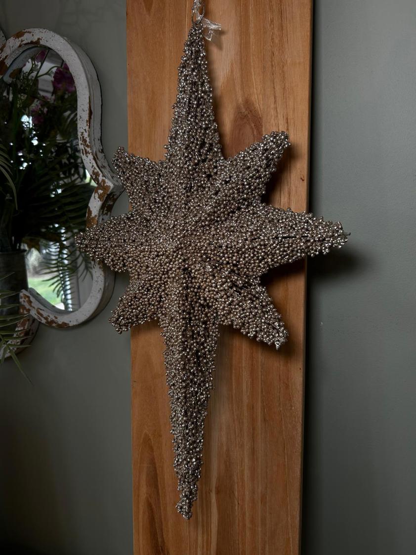 Champagne Hanging Star