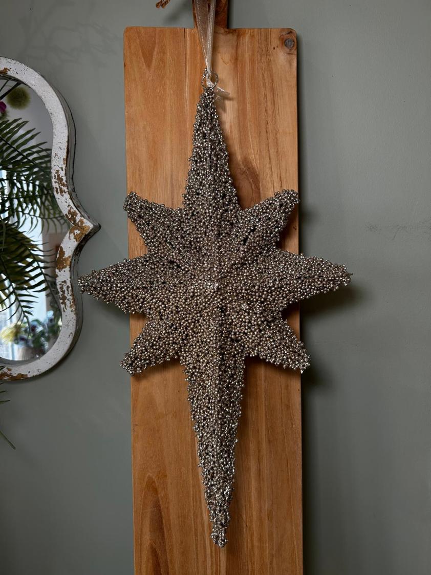 Champagne Hanging Star