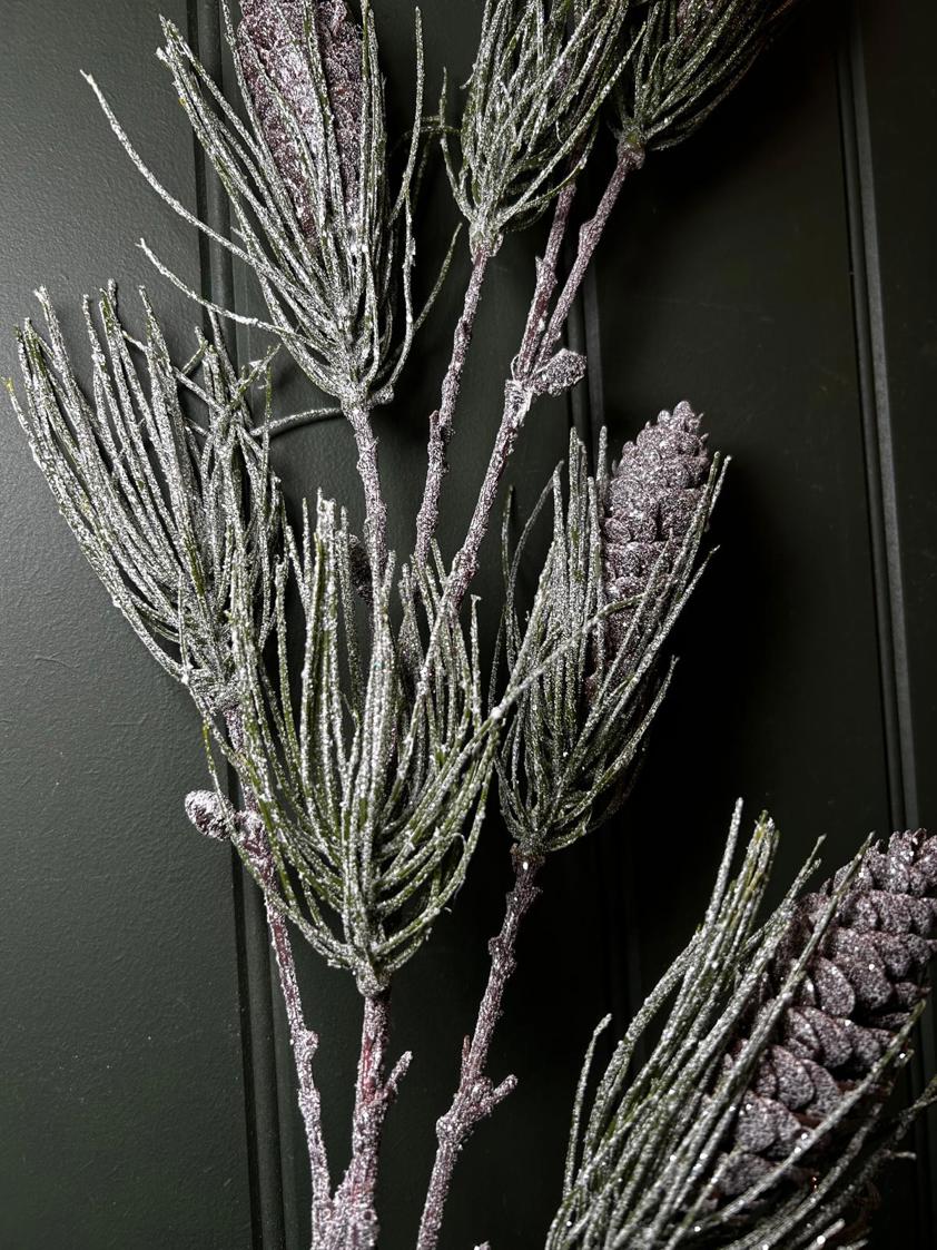 Fronted Pine Branch