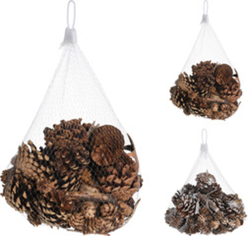 Pinecone and Bark Pinecone and Bark