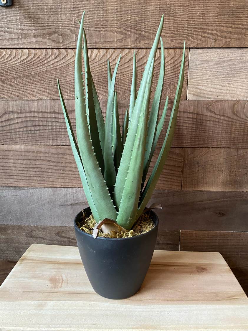 Artificial Aloe Vera Plant