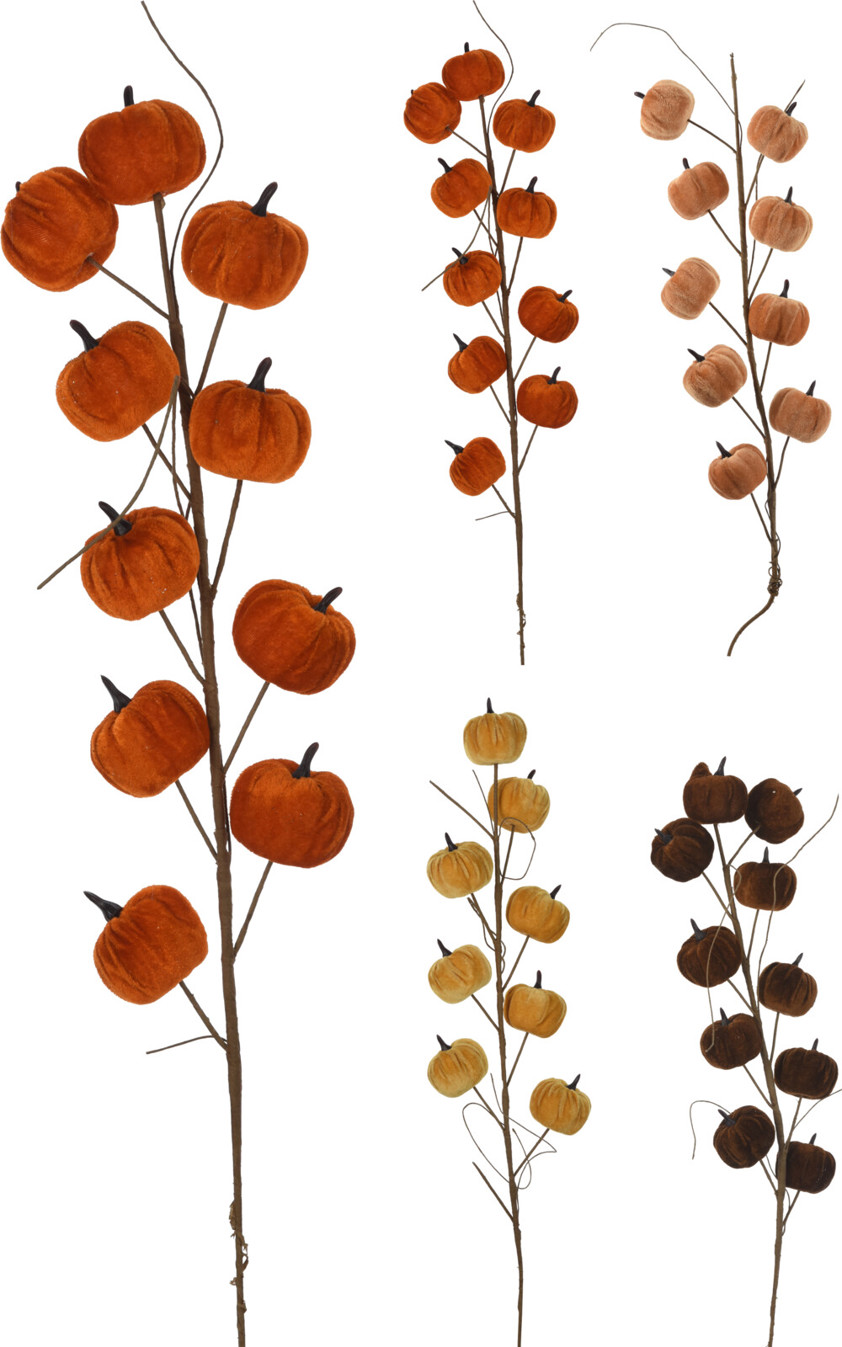 Pumpkin Pick