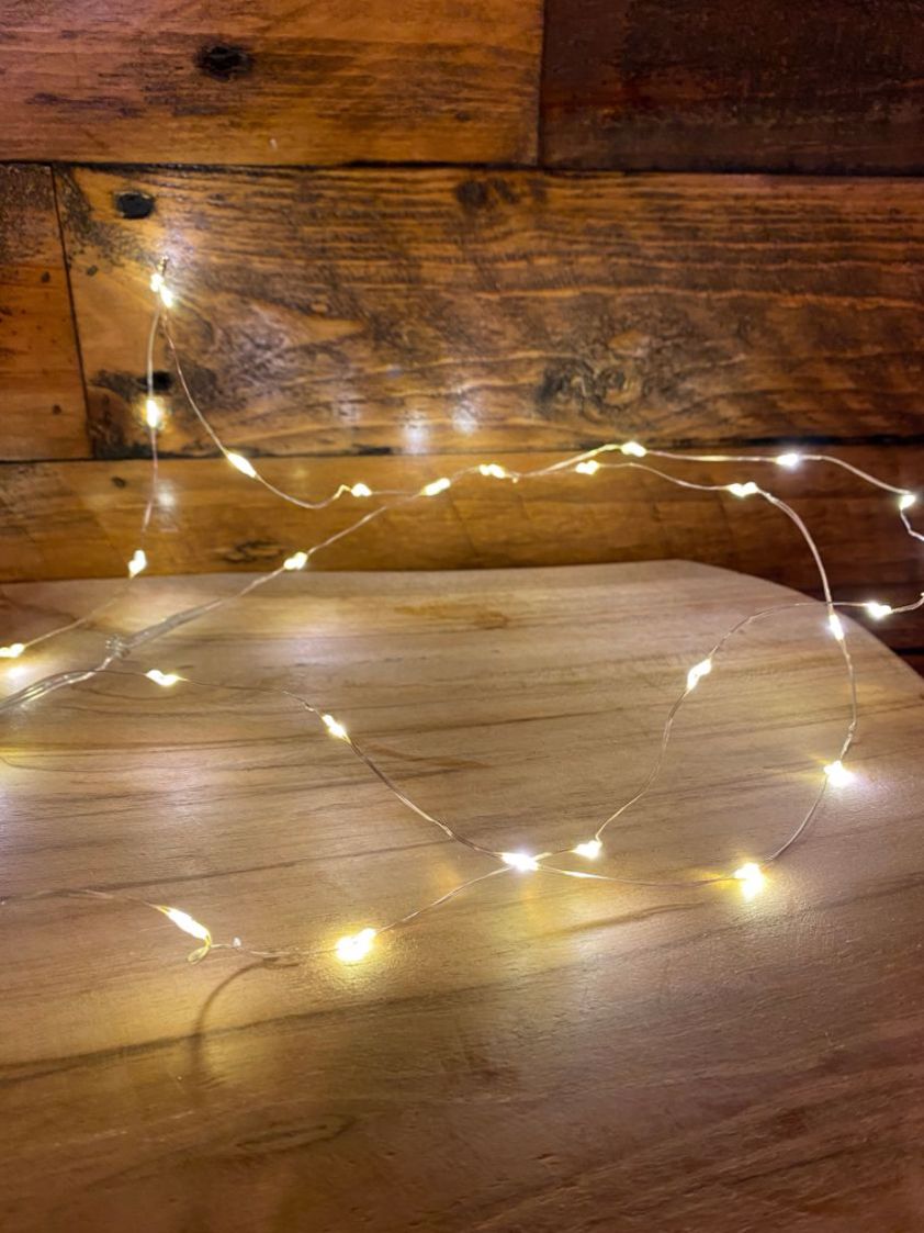 Silver (Warm White) 40LED Wire Lights *