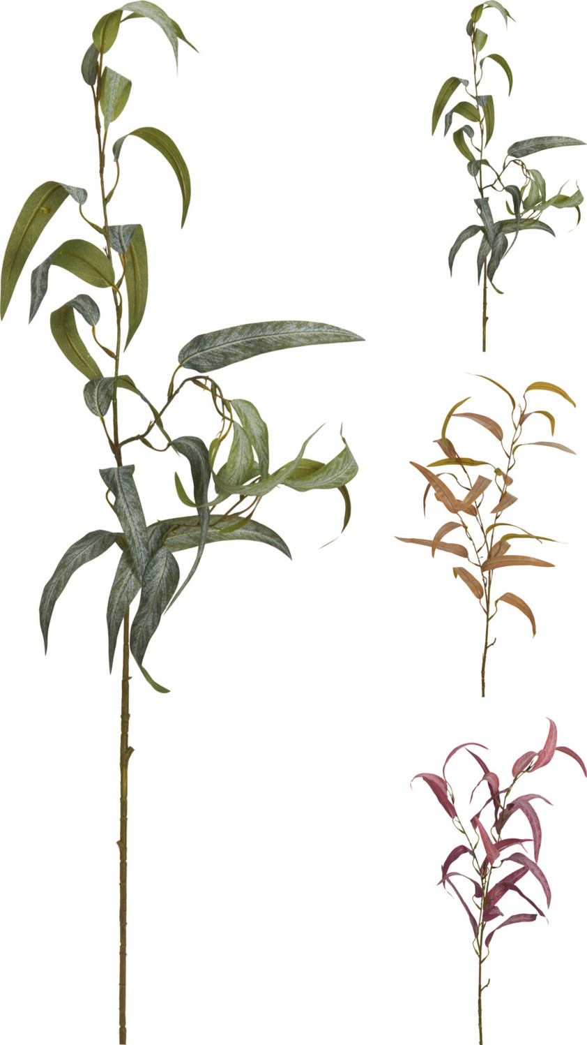 Slim Leaf Branch