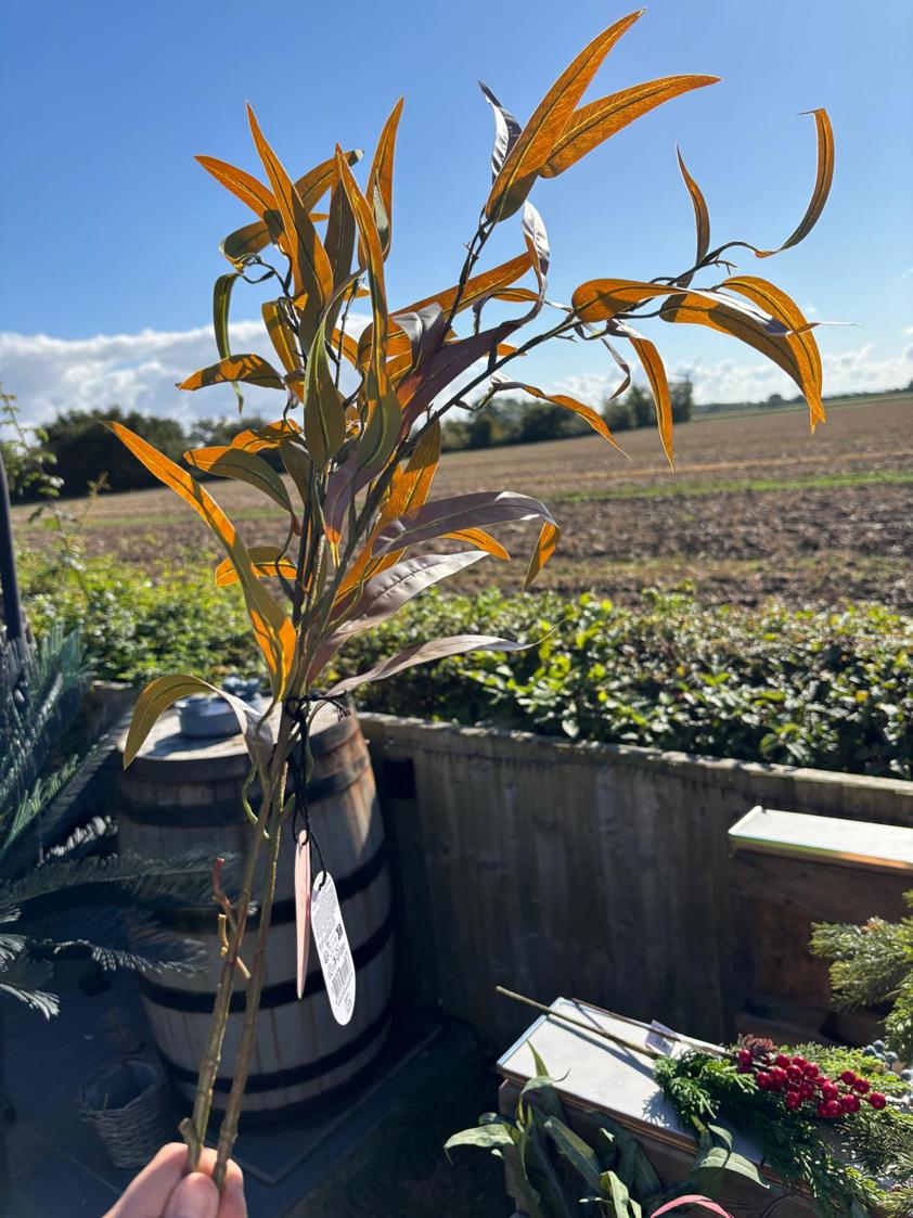 Slim Leaf Branch