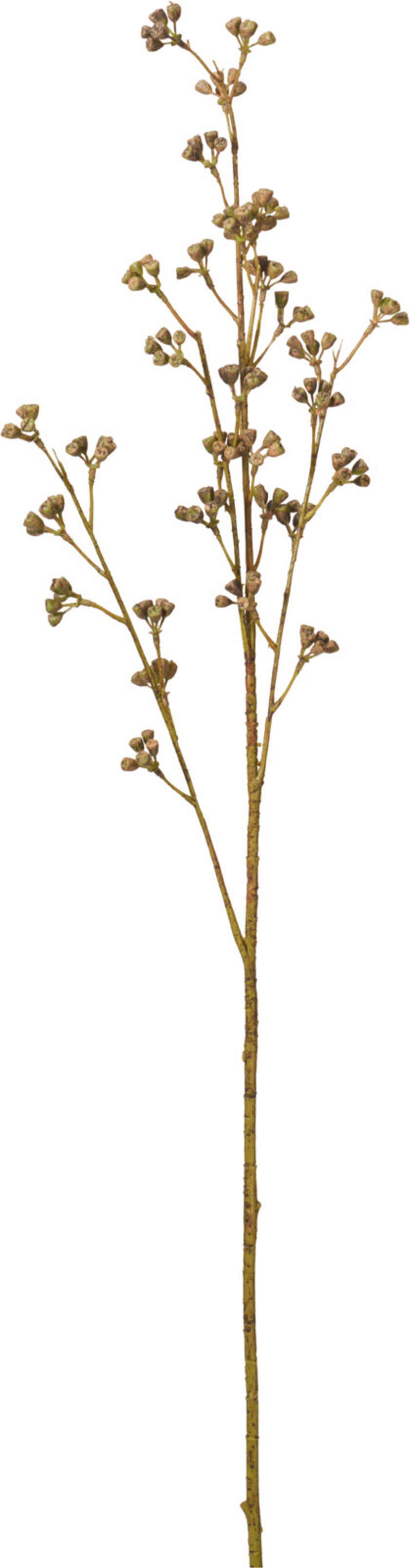 Faux Zanthoxylum Branch Faux Zanthoxylum Branch